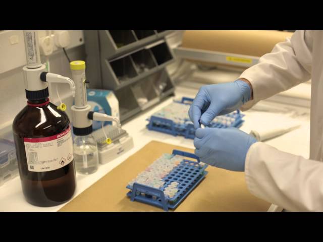 How to tell exactly what's in a pill - GCMS testing