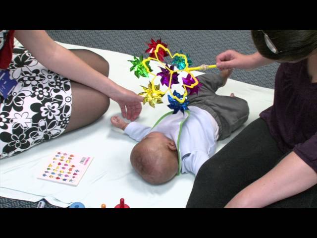Developmental 4 - Baby