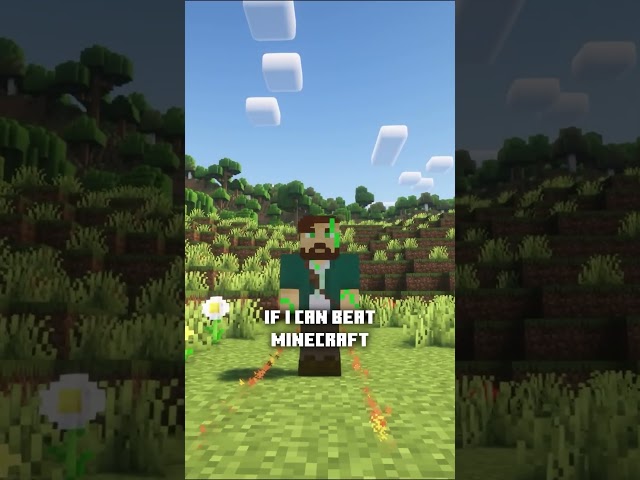 Minecraft, but its a perfectly straight line