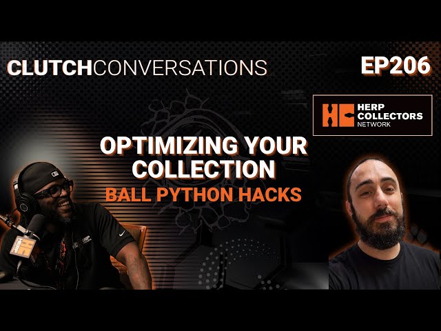 EP206 – Optimizing Your Collection: Ball Python Hacks