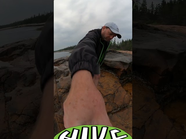 Wonderland Trail at Acadia National Park, Maine (Hike 360° VR Video)