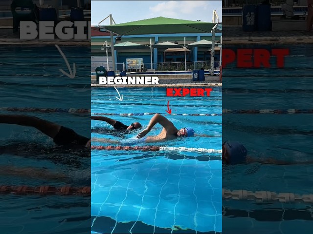 Beginner To Expert Freestyle Swimming