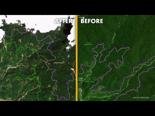 Conditions of Padang City After Flash Floods from 3D Satellite Imagery