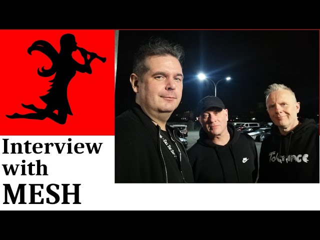 MESH: "There are always the ones you have to do!" | Interview @ E-tropolis Festival