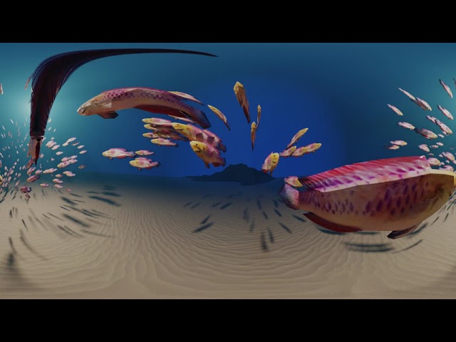 Fishes 360° - Blender (Cycles)