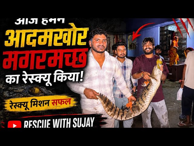 Today We Rescued a Man-Eating Crocodile! Rescue Mission Successful 🫶🫰