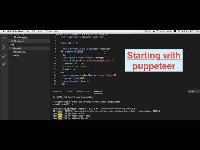 Software Automation - Starting with puppeteer (Basic inform, Installation and writing first script)