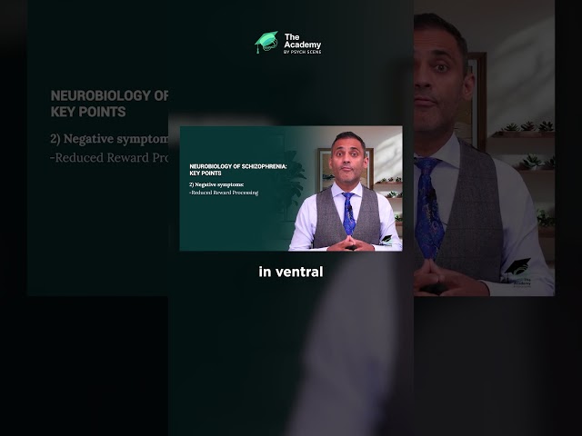 Schizophrenia Explained in 3 Broad Constructs