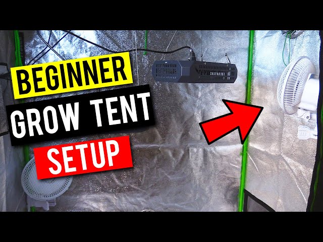 Easy Grow Tent Setup For Beginners & Planting Seeds