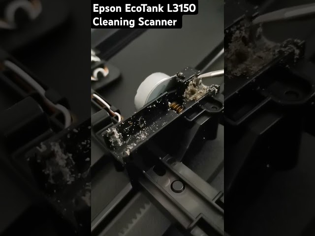 Epson EcoTank L3150 Scanner Cleaning Guide. #shorts #short #shortsfeed #shortvideo #scanner #epson