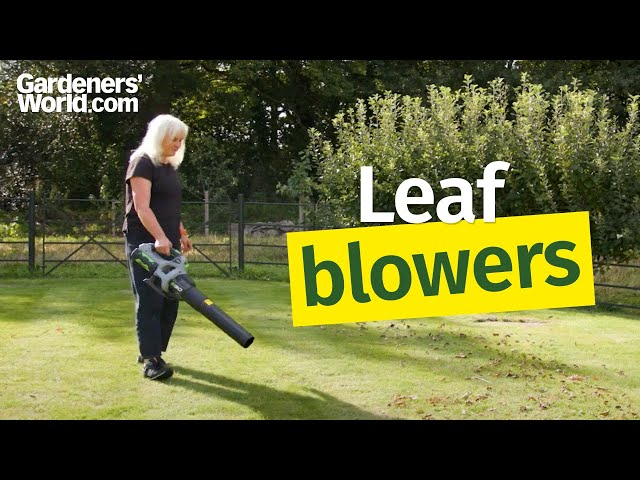 Leaf blowers - Buyer's Guide