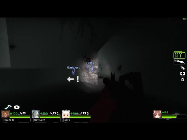 L4D2 Custom maps run