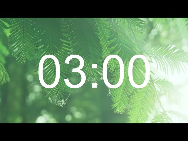 3 Min Timer • Forest Bird Nature Sounds for Classroom, Study, Sleep & Homework