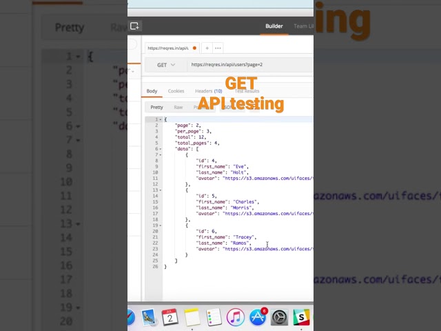 API testing with TechieQA