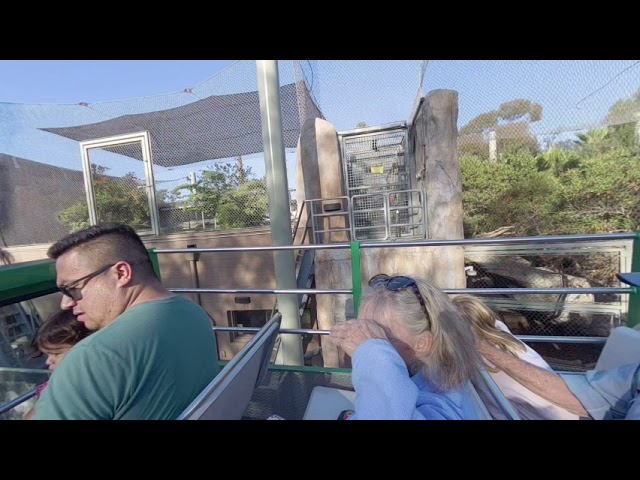VR180 San Diego Zoo Bus tour 2