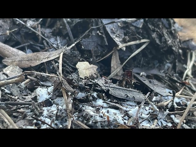 Composting Requires Patience