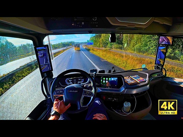 Summer POV Truck Driver Nikotimer in Europe No Talking Driving Poland to Netherlands Night and day