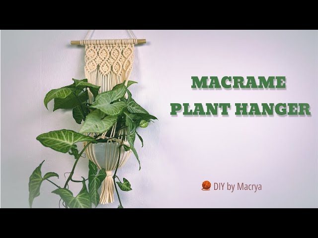 Make Your Own Macrame Plant Hanger | No Experience Needed! 🌿| Macrya DIY Tutorial