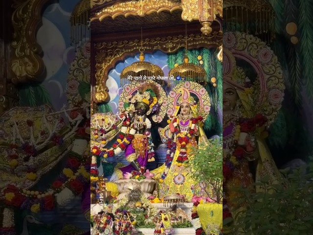 #radharani #shorts #live #trending #shyam #radheshyam