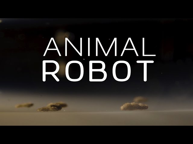 These Researchers Used Artificial Intelligence to Design an 'Animal Robot' That Has Never Existed