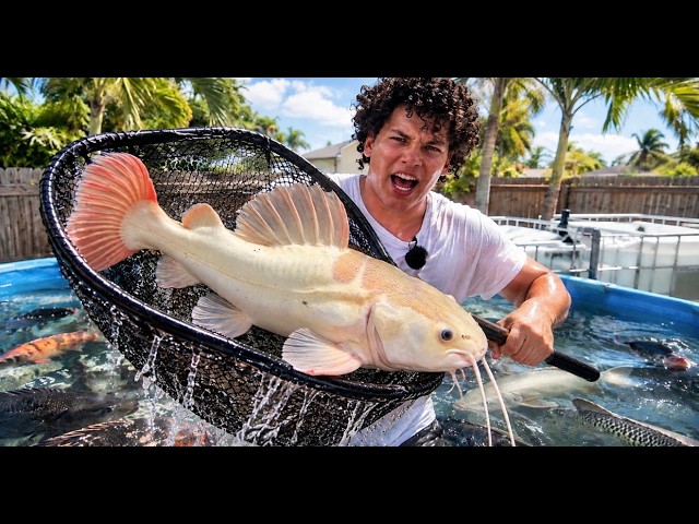 I’m SELLING MORE of My MONSTER FISH!