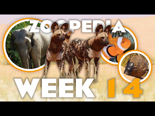 🐕 That's One Wild Dog! | Zoopedia Drop #14 | Planet Zoo 2