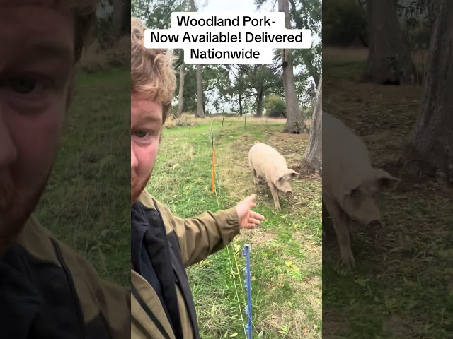 Woodland Pork Now Available