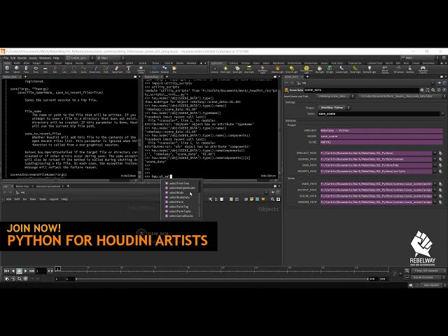 Python for Houdini Artists | Pro VFX Course