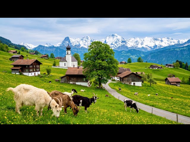 Switzerland‘s Heavenly Countryside  - Relaxing walk in the most beautiful alpine Swiss villages