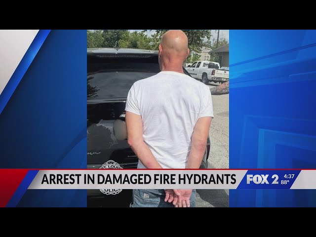 Man arrested, charged after 77 St. Louis fire hydrants damaged