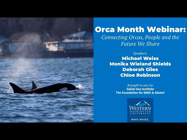 Orca Month Webinar