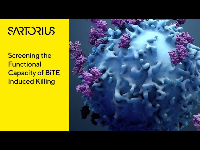 Screen Functional Capacity of Bispecific T Cell Engager Induced Killing With Advanced Flow Cytometry