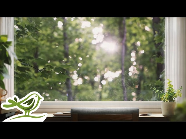 Peder B. Helland - Wednesday | 1 Hour of Relaxing Piano Music