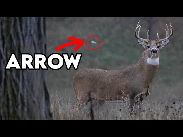 The Most Dramatic Hunt of My Life! I RAN OUT OF ARROWS!