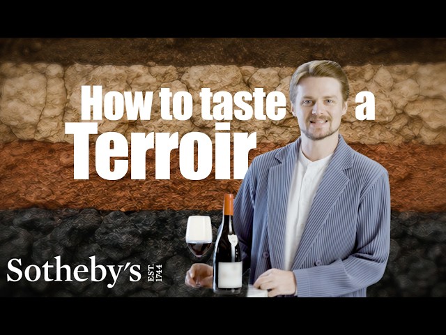 How to Taste a Place In a Glass of Wine? | Sotheby's