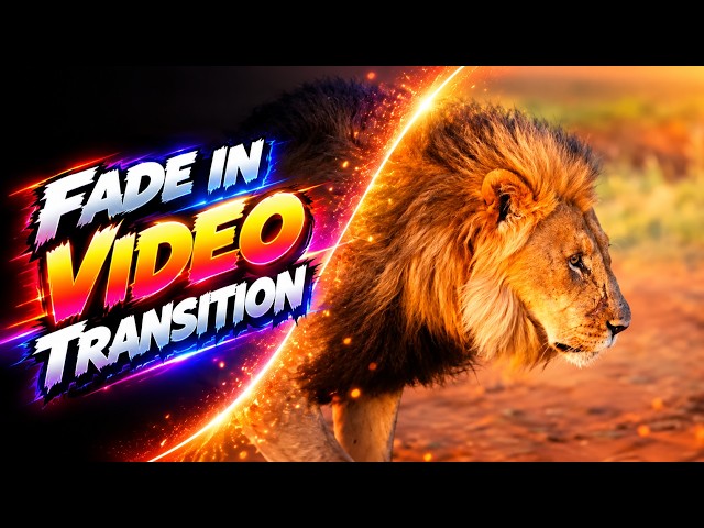 Canva Match and Move Magic Part 10 Fade in Video Transition
