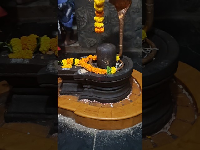 Om NamahShivaya ... Sivayya Darshan @ Panchavati #viral #omnamahshivaya