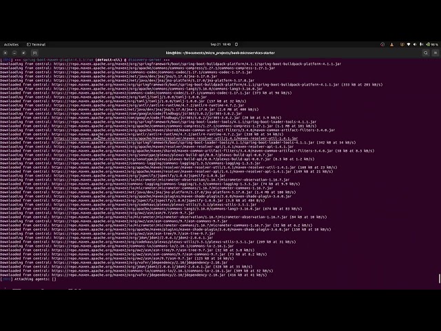 Microservices with Spring Boot