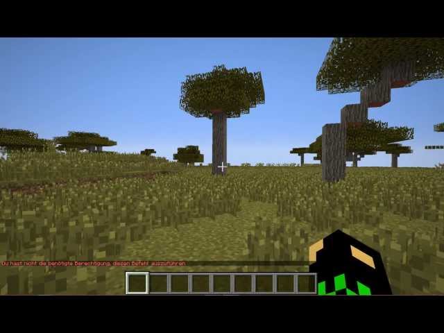1.Folge Vom Anfänger (Minecraft)