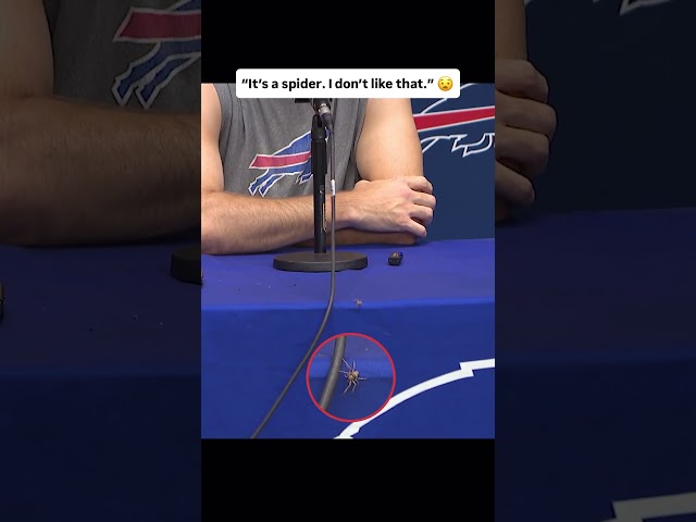 Josh Allen wasn't messing with this spider 😅 (via @Dan Fetes, @buffaloplus/TT)