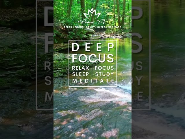 Deep Focus Flute meditation