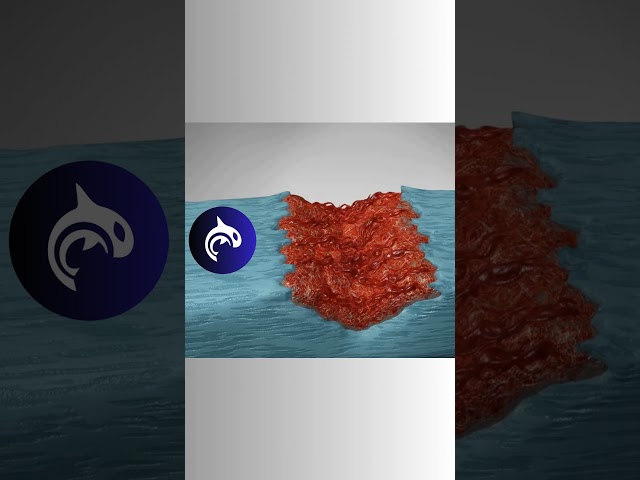 Soft-Tissue Healing Process - 3D Animation. #anatomy #healing #muscle