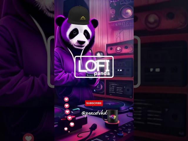 DJ LO-FI PANDA HIP-HOP BEATS | STUDY MUSIC #lofibeats #lofihiphop