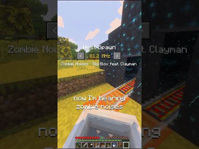 IF MINECRAFT HAD RADIO...