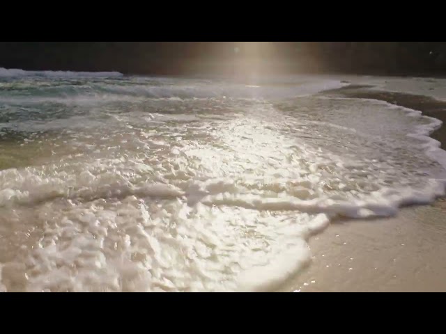 Come Back to Connected, in JAMAICA