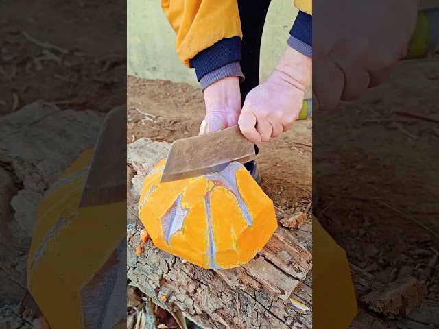 🎃🔪 Pumpkin and Gourd Sectioning Workflow