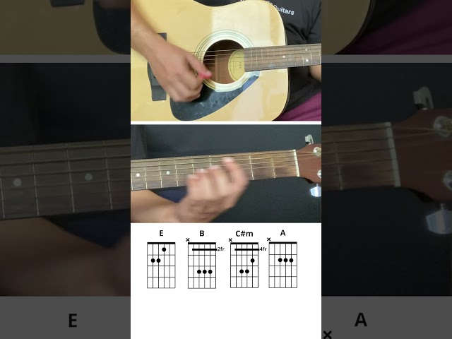 Crazy For You by Madonna | Easy 4 Chords Song