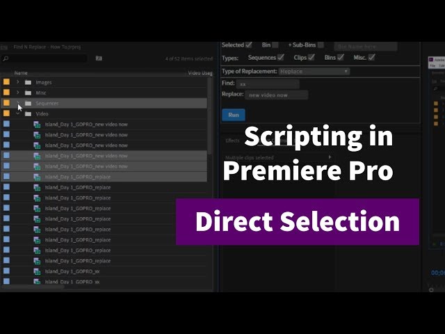 Direct Selection in the Project Panel