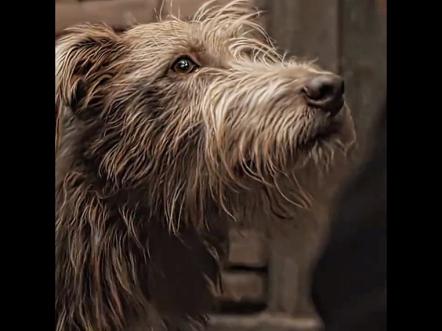 "They Deleted This Scene😭💔" | Dr. Strange Edit | #edit #shorts