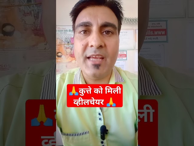 🙏कुत्ते को मिली व्हीलचेयर🙏#dna #dnanews #dnahindi #shorts #shortsvideo #shortsviral #shortsvideos